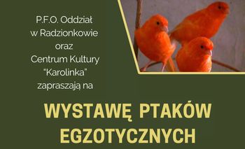 Kanarki