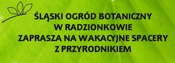 Logo Śląskiego Ogrodu Botanicznego w Radzionkowie