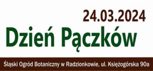 Ilustracja artykułu: "Dzień Pączków"