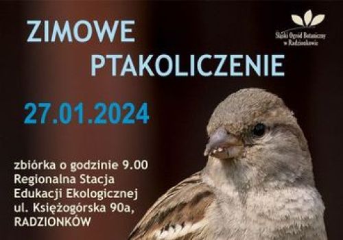 Ilustracja artykułu: "Zimowe Ptakoliczenie"