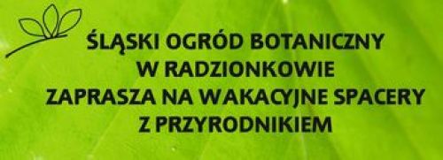 Ilustracja artykułu: "Spacery z przyrodnikiem"