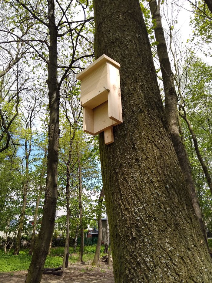 Domek dla ptaków zawieszony na drzewie